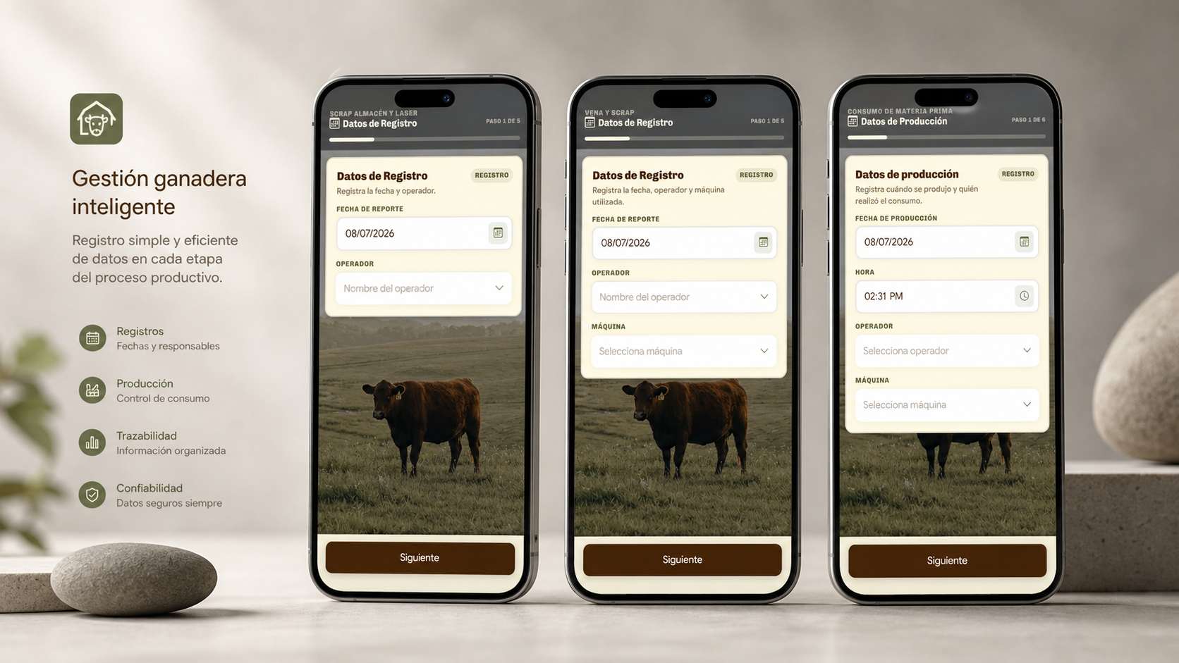 Divisan — Industrial Operations Platform — Guided Vue workflows for digitizing production records in livestock identification manufacturing
