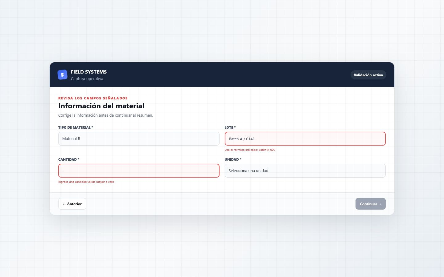 Anonymous validation state in a guided industrial form